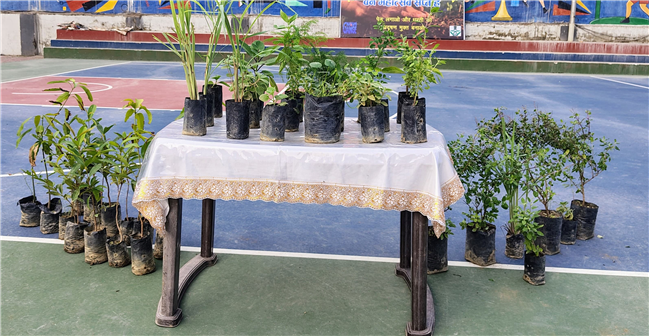 ?? Van Mahotsav Celebrated at Sky Public School ??