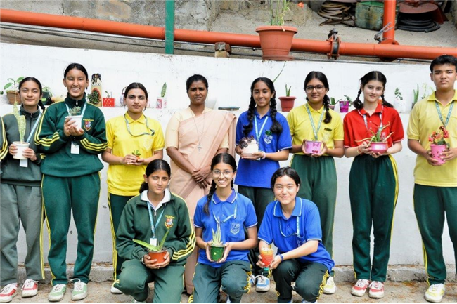 PLANTATION OF SAPLINGS
