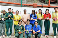 PLANTATION OF SAPLINGS
