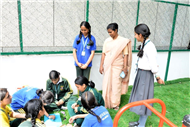 PLANTATION OF SAPLINGS