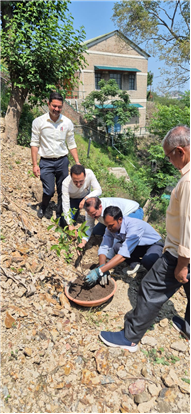 PLANTATION OF SAPLINGS