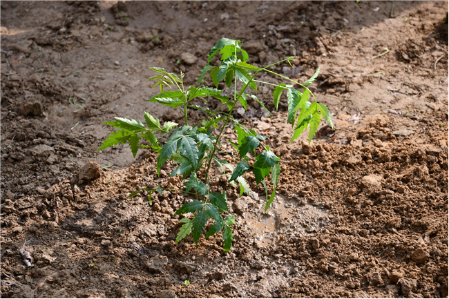 A New Chapter Begins