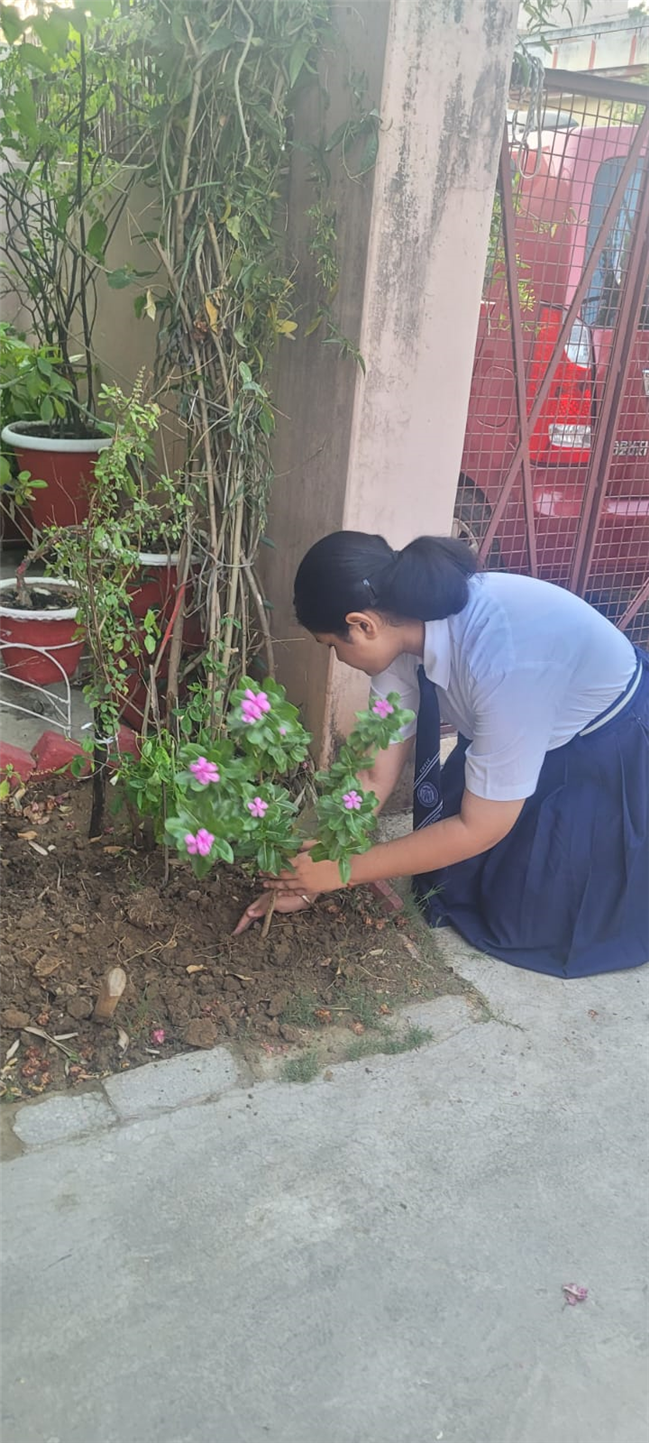 Green Blessings At Home