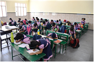 Writing Activity