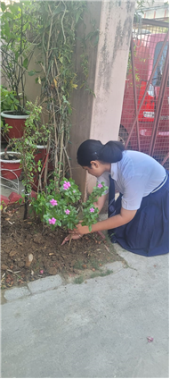 Green Blessings At Home