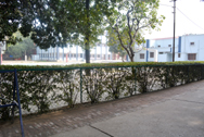 SMC PORTFOLIO