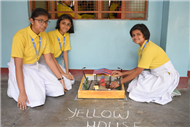 CLASS ACTIVITY - 13.07.2019