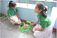 CLASS ACTIVITY - 13.07.2019