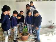 Darshana school outdoor activities