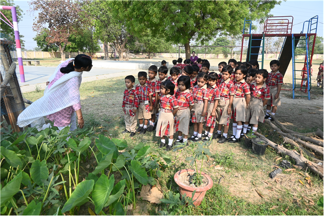 EXPLORING OUR SCHOOL