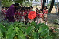 EXPLORING OUR SCHOOL