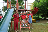 Apple Day Activity