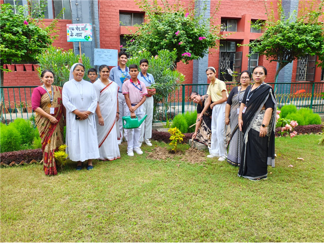 VAN MAHOTSAV 2025