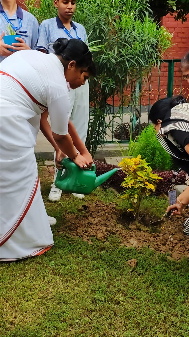 VAN MAHOTSAV 2025