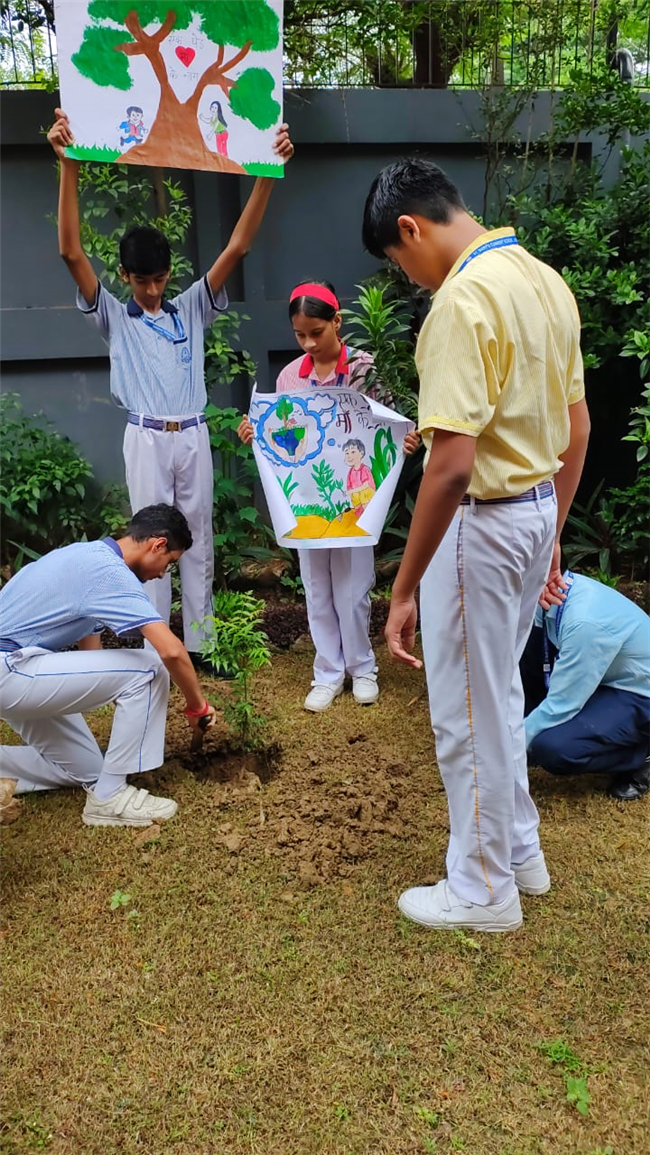 VAN MAHOTSAV 2025