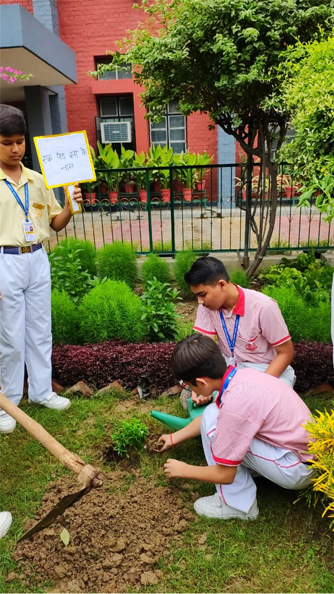 VAN MAHOTSAV 2025