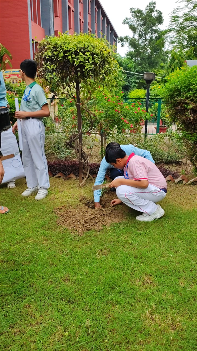 VAN MAHOTSAV 2025