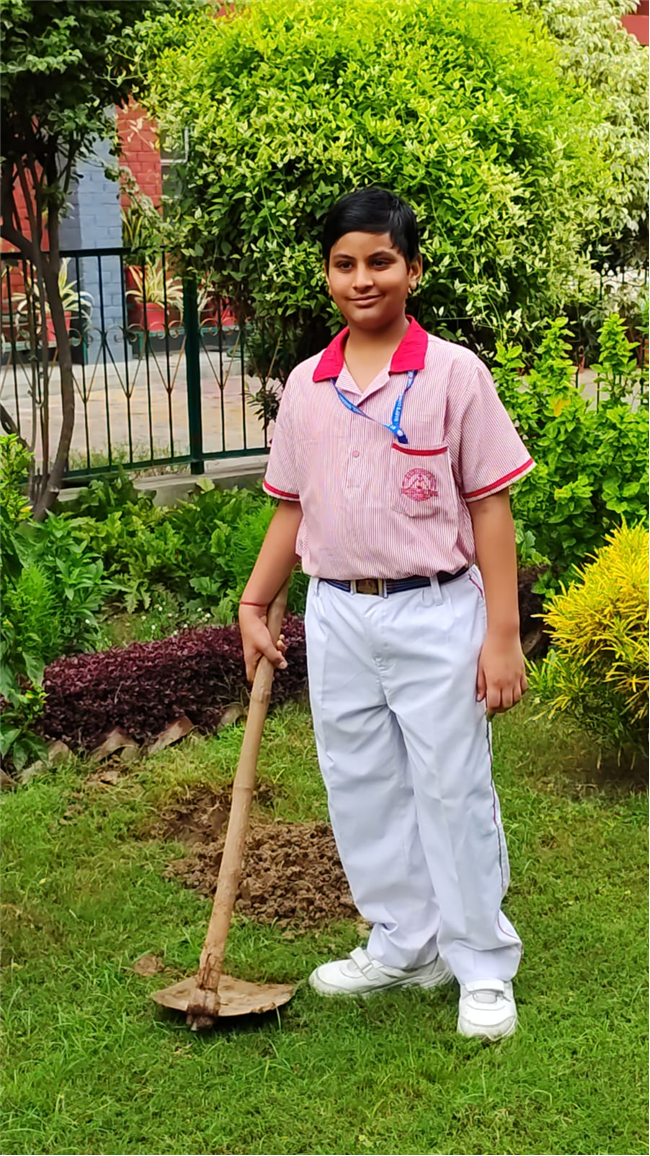 VAN MAHOTSAV 2025