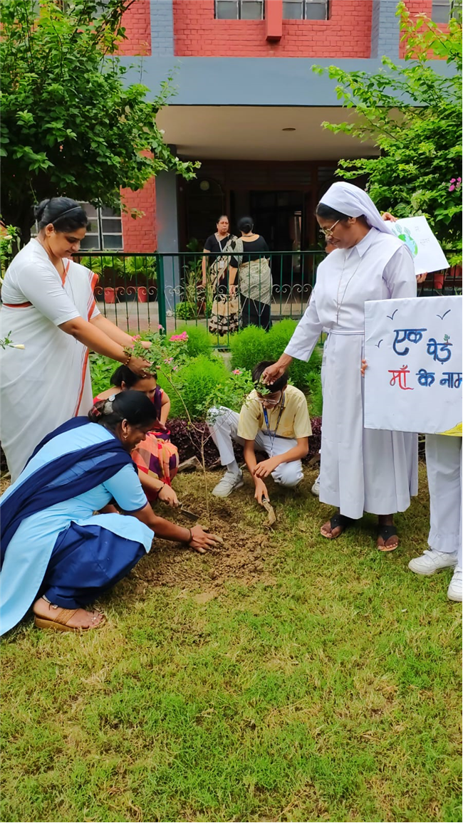 VAN MAHOTSAV 2025