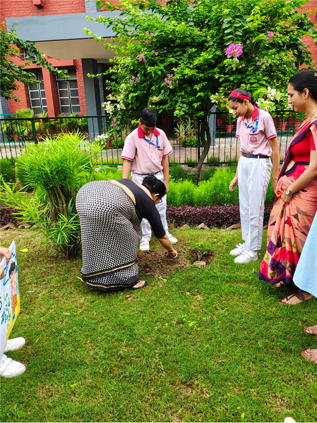 VAN MAHOTSAV 2025
