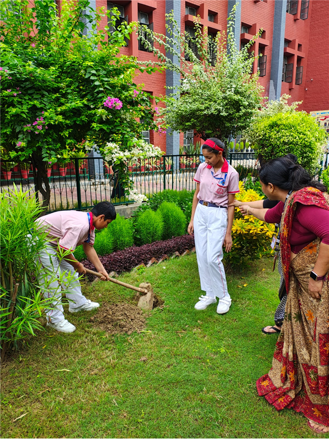 VAN MAHOTSAV 2025