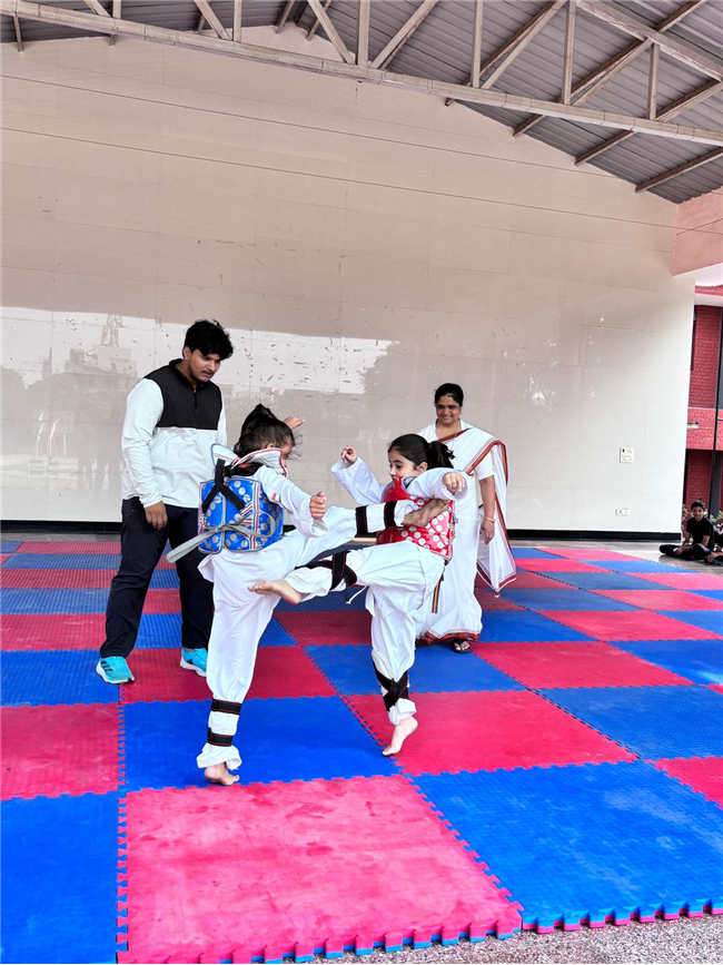 TAEKWONDO ACTIVITY