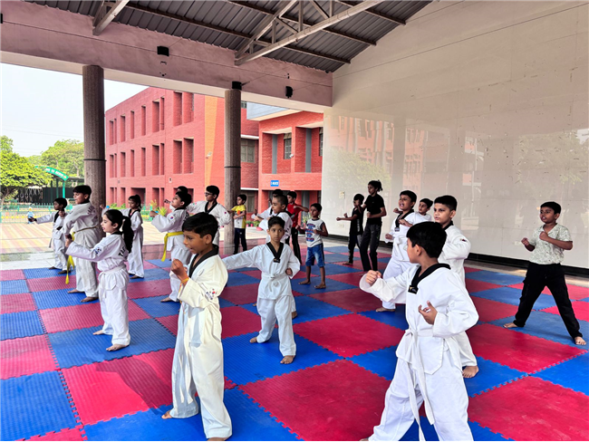TAEKWONDO ACTIVITY