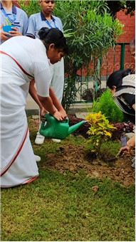 VAN MAHOTSAV 2025