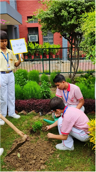 VAN MAHOTSAV 2025