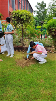 VAN MAHOTSAV 2025