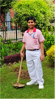 VAN MAHOTSAV 2025
