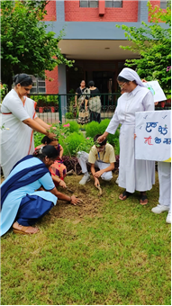 VAN MAHOTSAV 2025