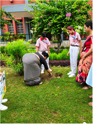 VAN MAHOTSAV 2025