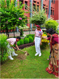 VAN MAHOTSAV 2025