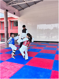 TAEKWONDO ACTIVITY