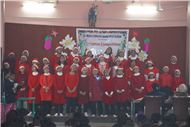 Christmas Celebration