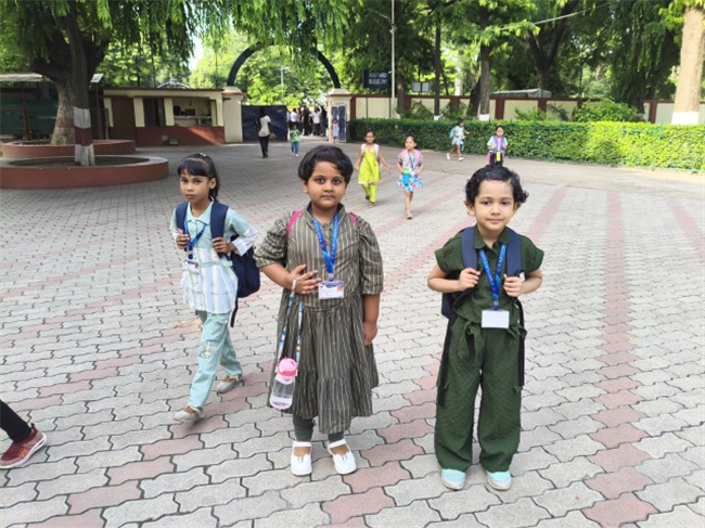 GREEN DAY ACTIVITY
