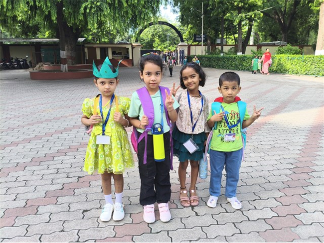 GREEN DAY ACTIVITY
