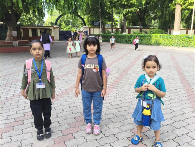 GREEN DAY ACTIVITY