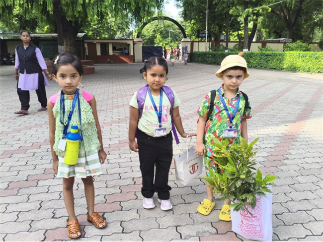GREEN DAY ACTIVITY