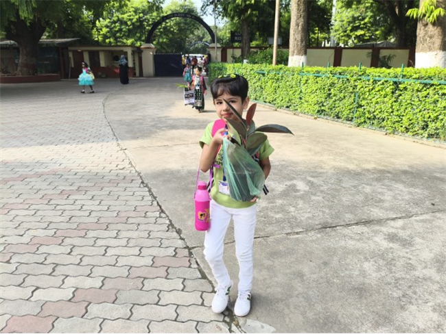 GREEN DAY ACTIVITY