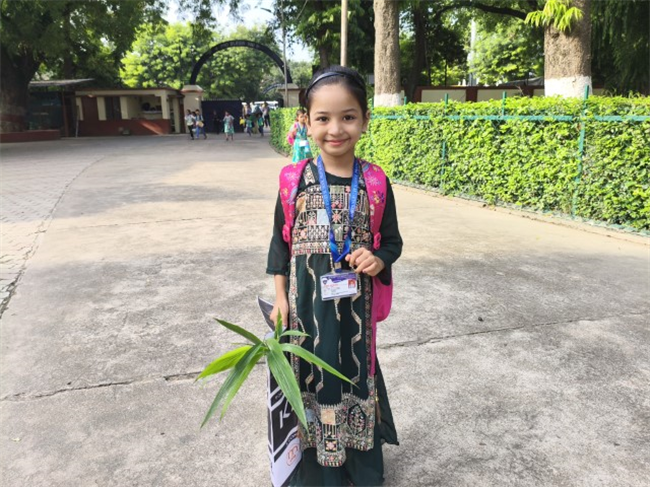 GREEN DAY ACTIVITY