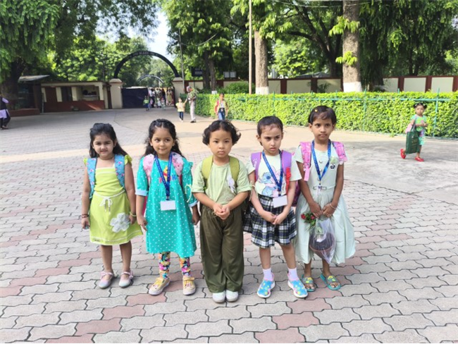 GREEN DAY ACTIVITY