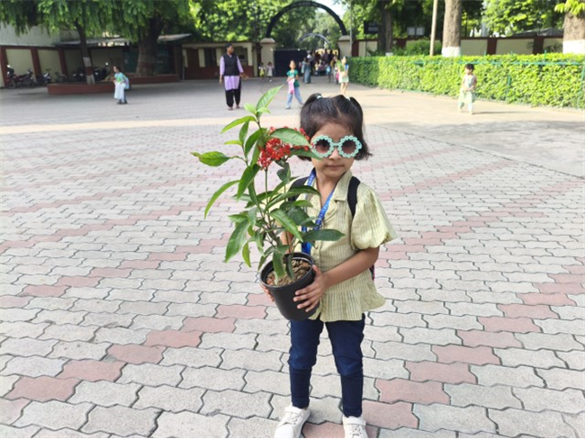 GREEN DAY ACTIVITY