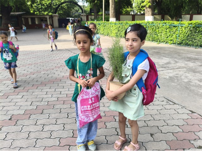GREEN DAY ACTIVITY