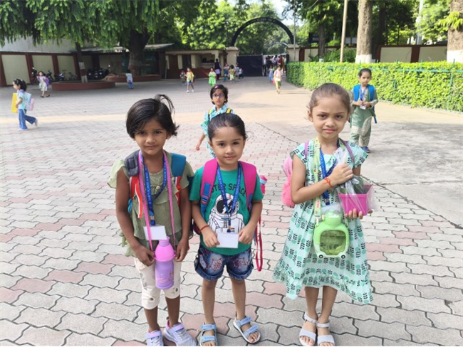GREEN DAY ACTIVITY