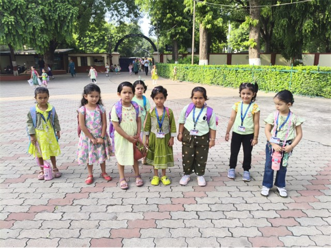 GREEN DAY ACTIVITY