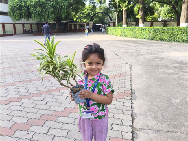 GREEN DAY ACTIVITY