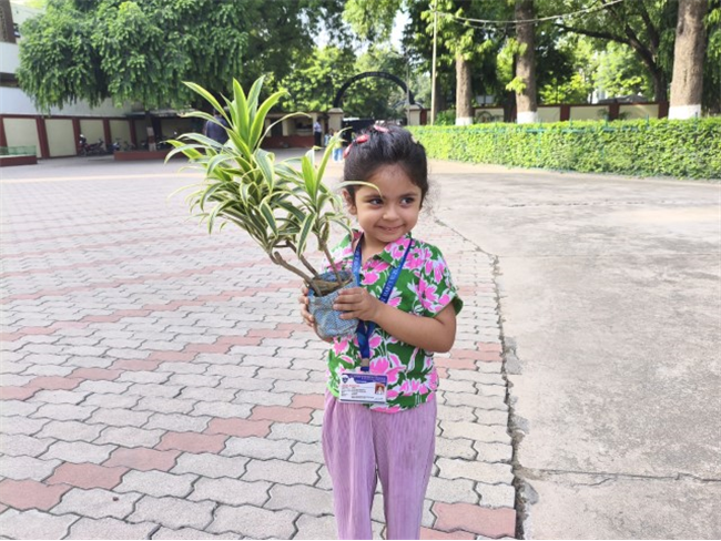 GREEN DAY ACTIVITY