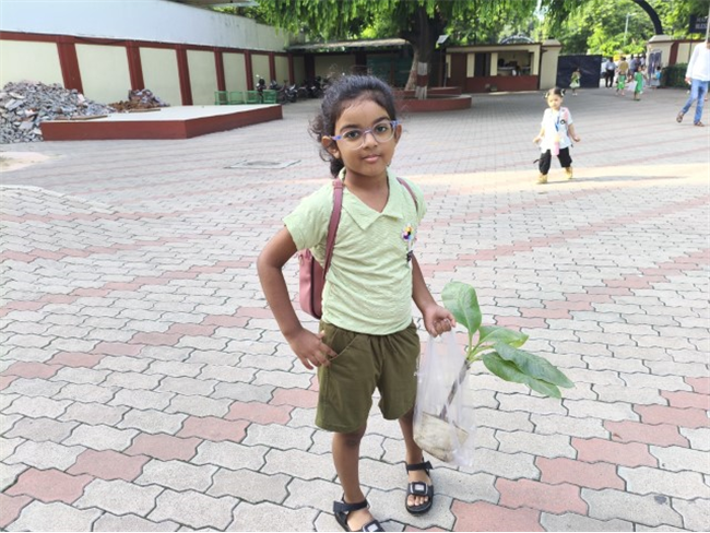 GREEN DAY ACTIVITY